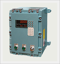 Explosion Proof Indicator Made in Korea